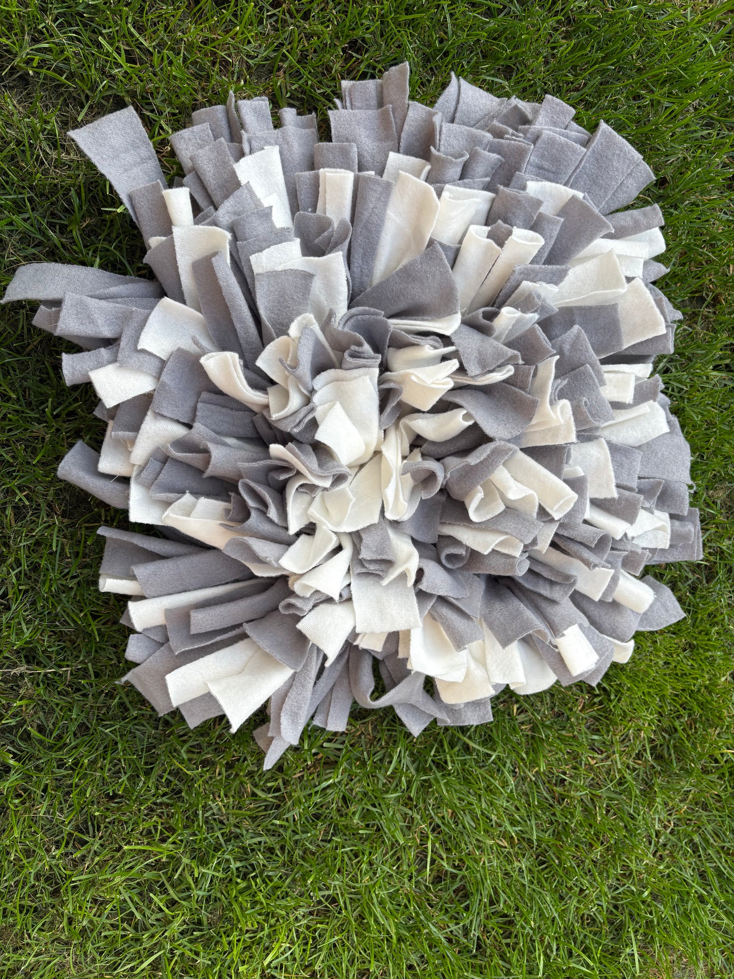 Paieškos kilimėlis