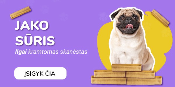 Jako sūris