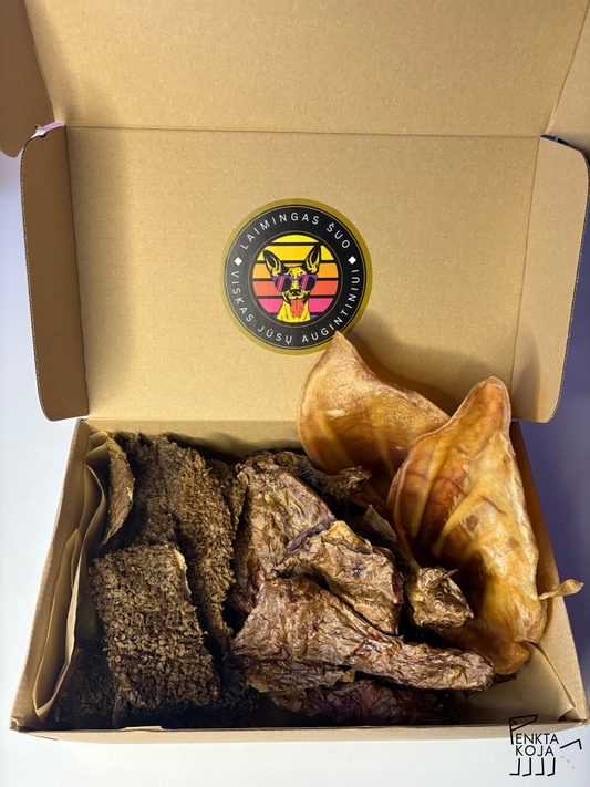 Rinkinys Nr1, Penkta koja