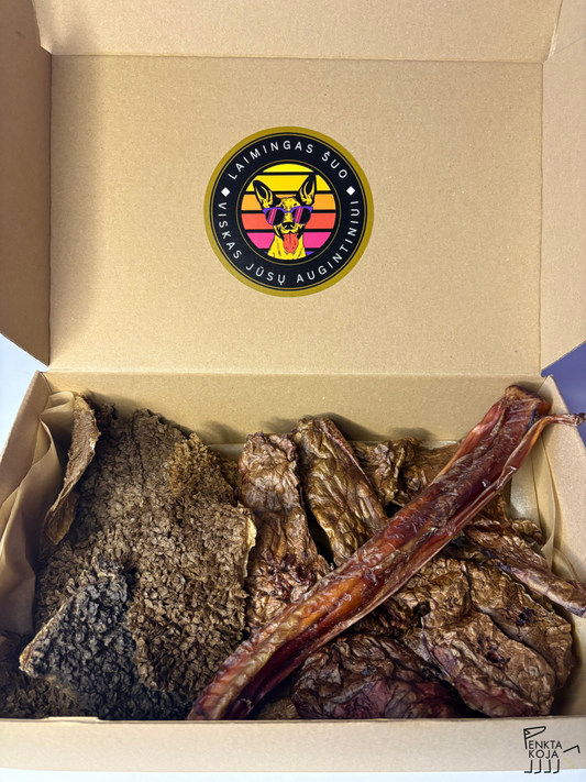 Rinkinys Nr2, Penkta koja